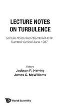 Lecture Notes on Turbulence