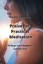 Praise for Practical Meditation