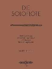 The Solo Flute -- Selected Works from the Baroque to the 20th Century