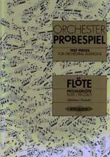 Orchesterprobespiel: Flöte / Piccoloflöte