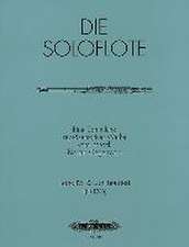 The Solo Flute -- Selected Works from the Baroque to the 20th Century