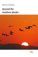 Beyond the Southern Border