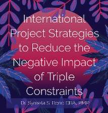 International Project Strategies to Reduce the Negative Impact of Triple Constraints