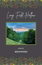 Long Field Hollow