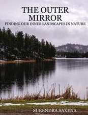 The Outer Mirror