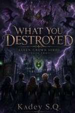 What You Destroyed