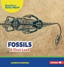 Fossils