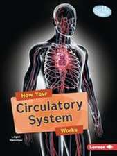 How Your Circulatory System Works