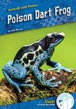 Poison Dart Frog