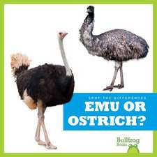 Emu or Ostrich?