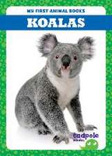 Koalas