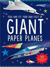 Giant Paper Planes