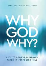 Why God Why: How to Believe in Heaven When it Hurts Like Hell
