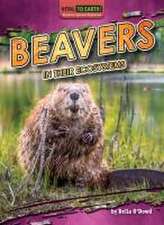 Beavers in Their Ecosystems