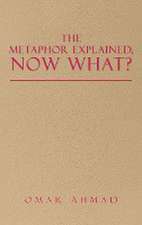 The Metaphor Explained, Now What?