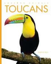 Toucans