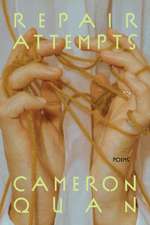 Repair Attempts: Poems