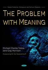 The Problem with Meaning